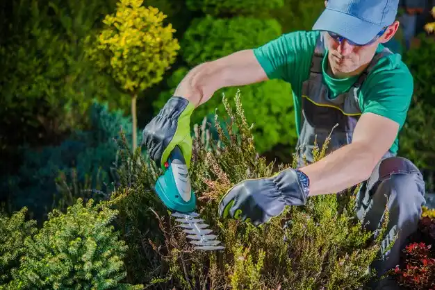 landscaping services Nettleton